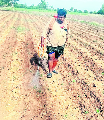 జాడలేని వరుణుడు 
1