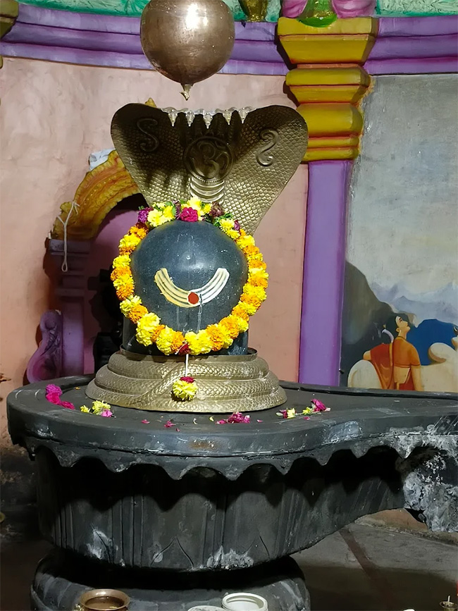 Devotional : Bhukailash Temple In Tandur Photos 12