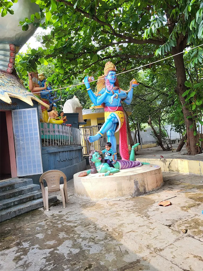 Devotional : Bhukailash Temple In Tandur Photos 19