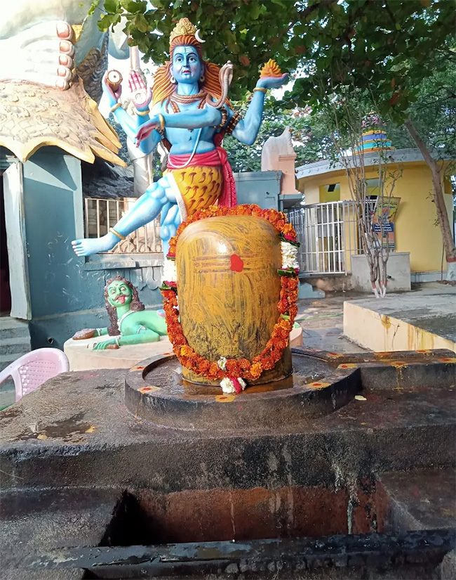 Devotional : Bhukailash Temple In Tandur Photos 6