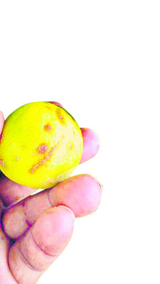 ధర సన్నగిల్లి!1