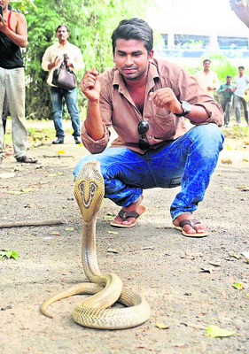 సర్ప సంరక్షణలో క్రాంతి కిరణం1