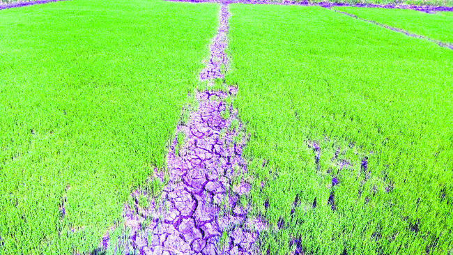 కష్టాలు ఆవరించేను 1