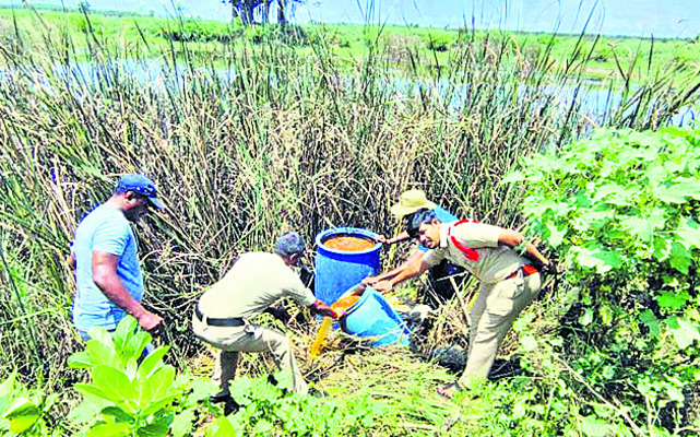 సారా స్థావరాలపై పోలీసుల దాడులు 2