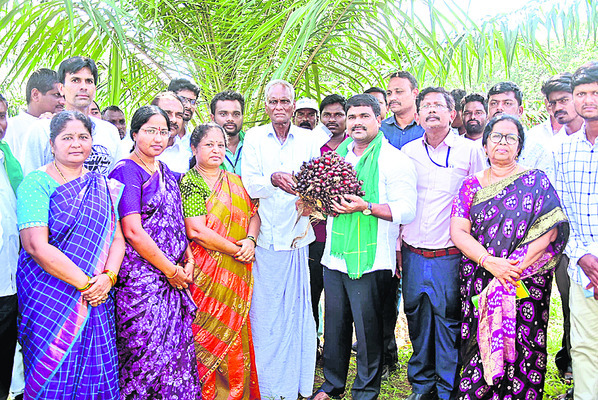 ప్రైవేట్స్కూల్ బస్సులు సీజ్
1