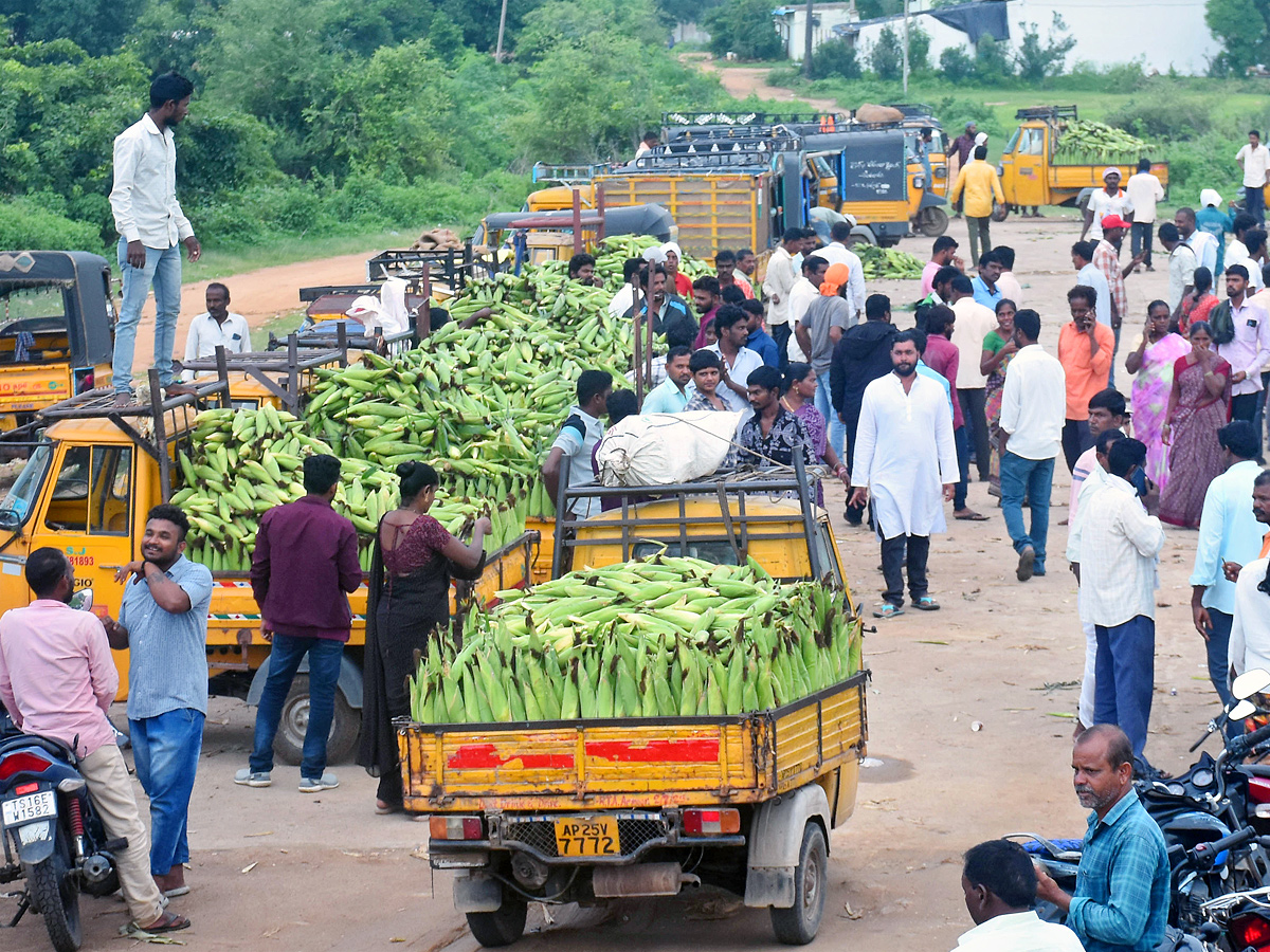 Best Photos of The Week in AP and Telangana Photo Gallery23