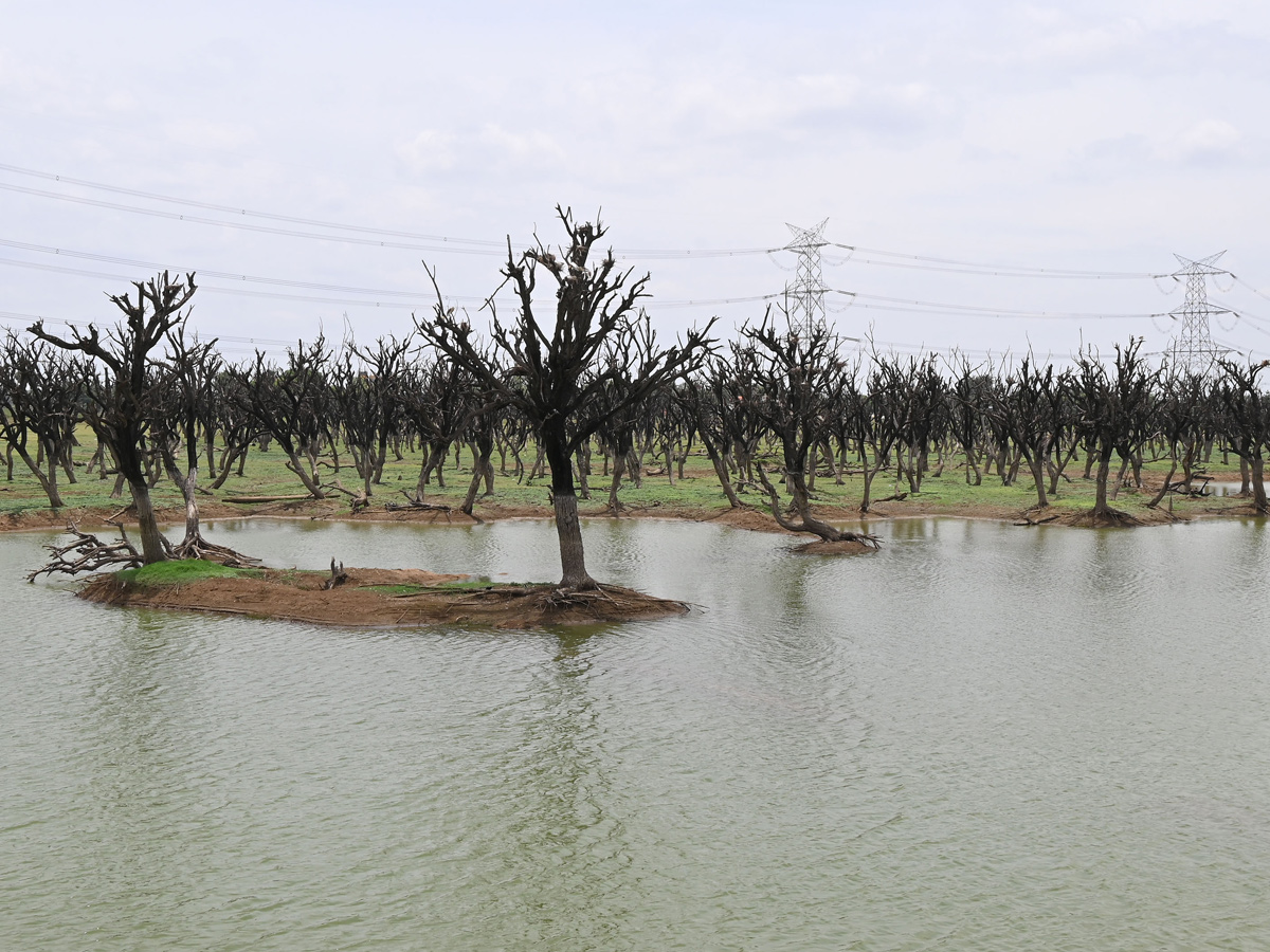 Best Photos of The Week in AP and Telangana Photo Gallery31