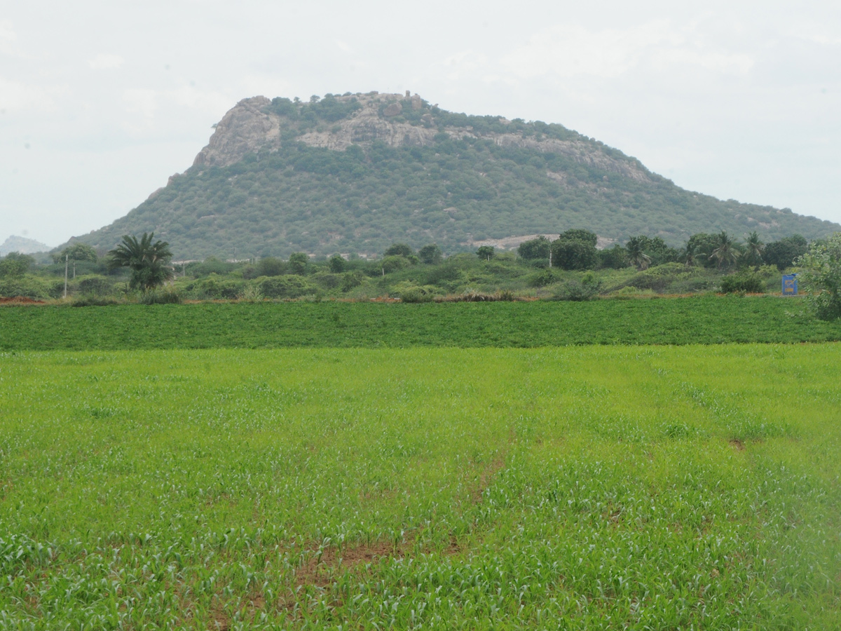 Best Photos of The Week in AP and Telangana Photo Gallery7