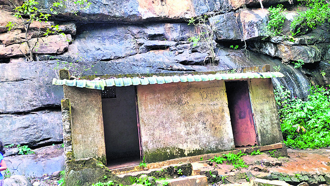 అడవి కాచిన సరుగుడు అందాలు 1