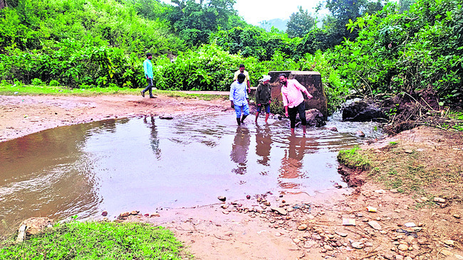 అడవి కాచిన సరుగుడు అందాలు 2