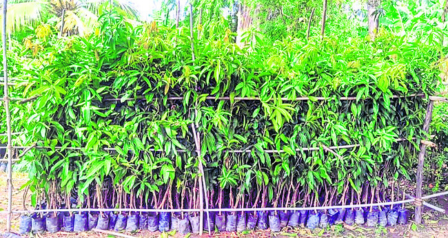 వర్షించని ‘మధుర’ ఆశలు!1