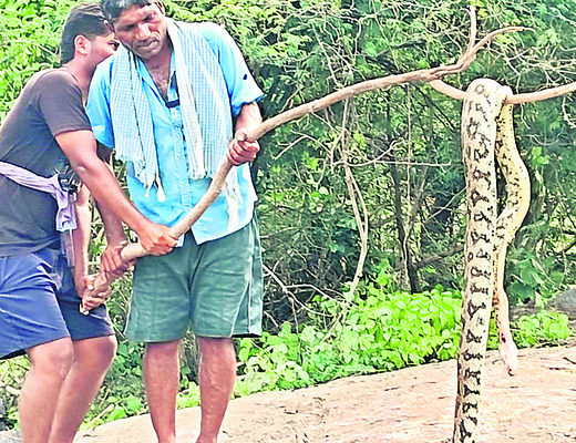 సుఖ ప్రసవం1