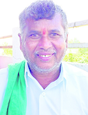 వామ్మో.. ‘కత్తెర’ పురుగు2