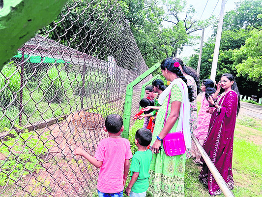 కిన్నెరసానిలో పర్యాటకుల సందడి1