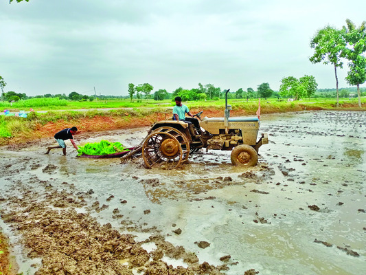 నల్లా నీటిలో జలగలు 2