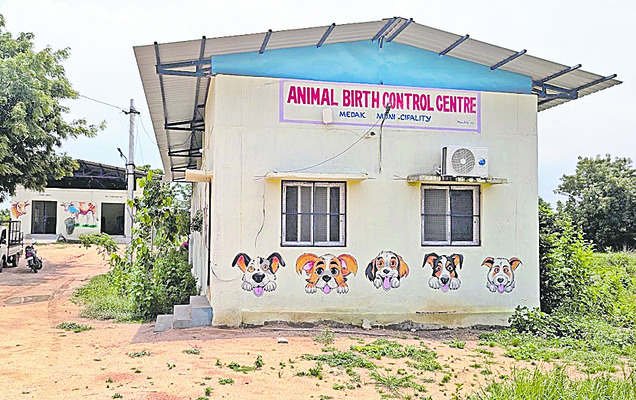 శునకం.. ఇక కంట్రోల్‌ 1