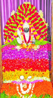 ● వైభవం.. ఆడి కృత్తిక మహోత్సవం1