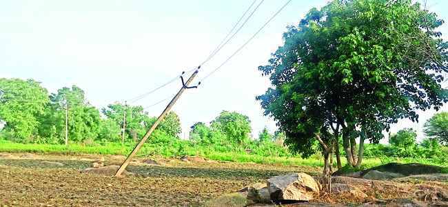 నల్లా నీటిలో జలగలు 1