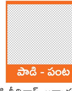 వరిలో ఎరువుల వాడకం తగ్గాలి 1