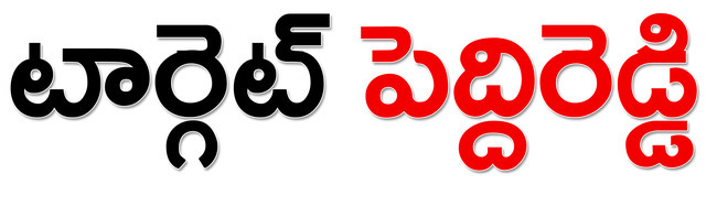 ‘హద్దు’లు దాటిన అక్రమాలు
1