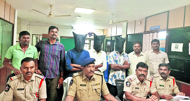పచ్చిరొట్టతో నేల సారవంతం2