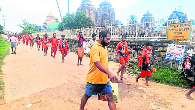 ‘పచ్చి రొట్ట ఎరువుతో మట్టికి జీవం’ 2