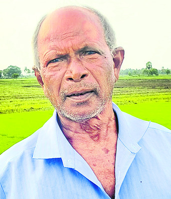 ఆశల సేద్యం2
