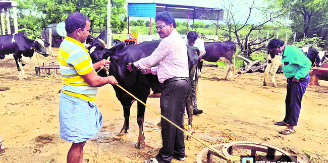 గుర్తు తెలియని వాహనం ఢీకొని గాయాలు 1