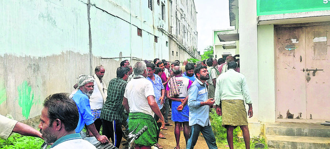 ‘పచ్చి రొట్ట ఎరువుతో మట్టికి జీవం’ 1
