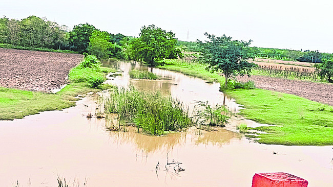 పొంగుతున్న వాగులు 1