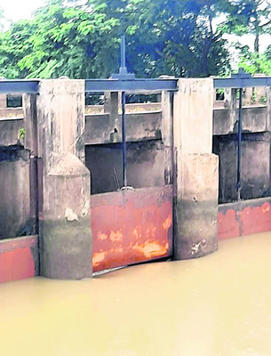 సౌత్ జోన్ రోల్బాల్ పోటీలకు ఎంపిక 1