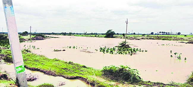 పేకాట జోరు 3