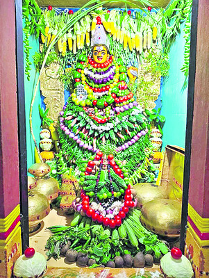 శాకంబరిగా పోలమాంబ1