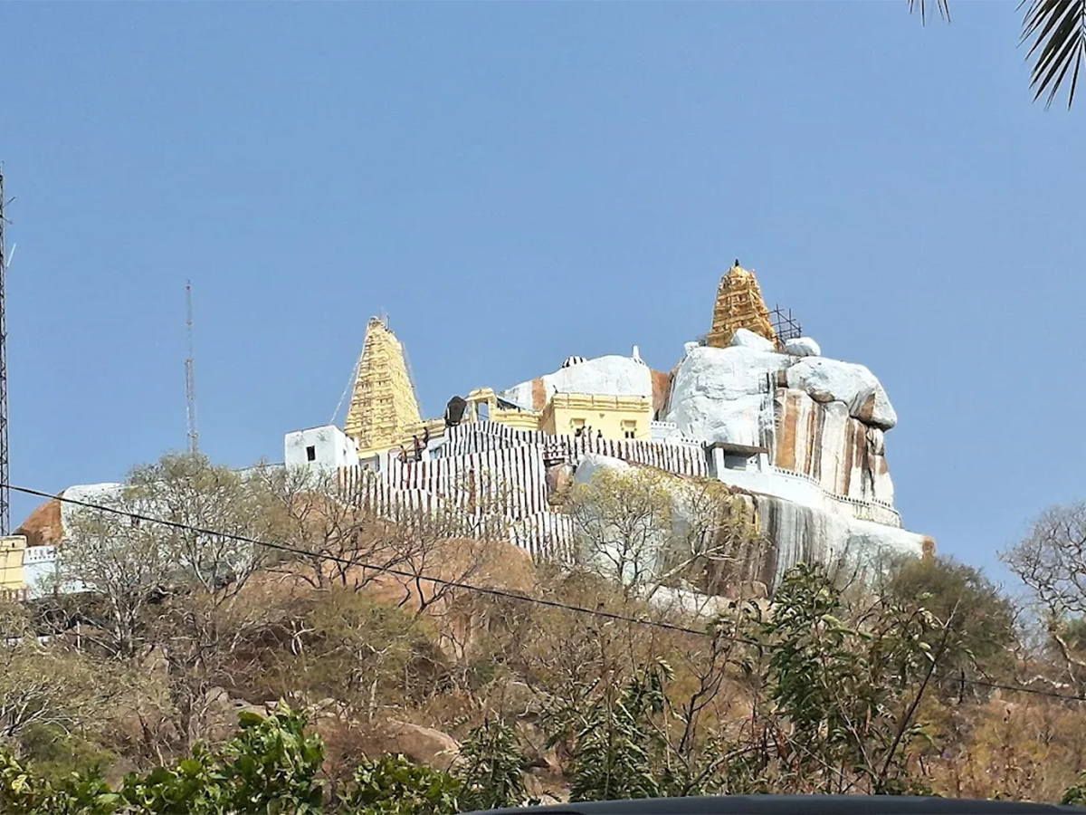 Manyamkonda Sri Lakshmi Venkateshwara Swamy Temple Mahbubnagar Photos11