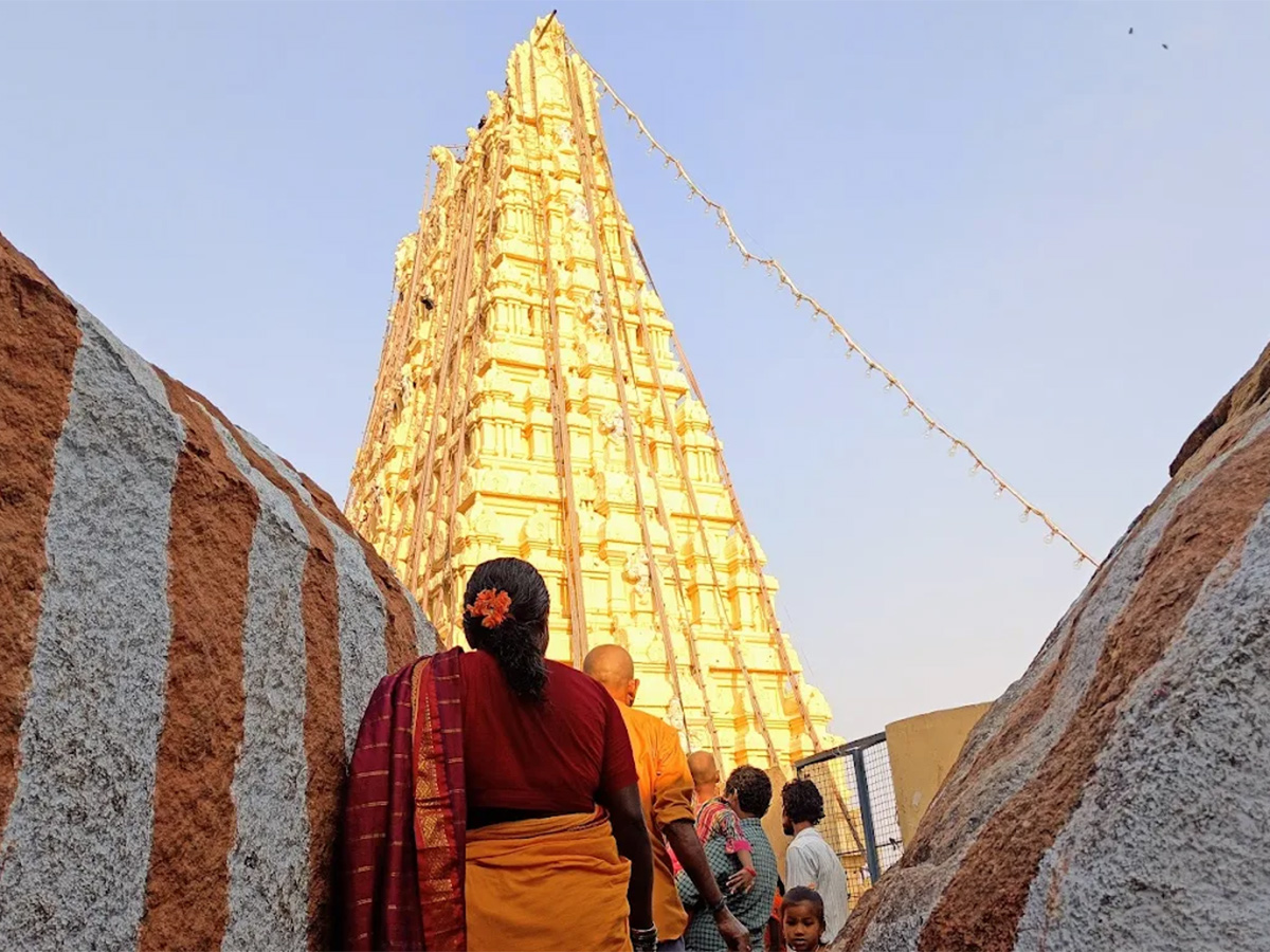 Manyamkonda Sri Lakshmi Venkateshwara Swamy Temple Mahbubnagar Photos33