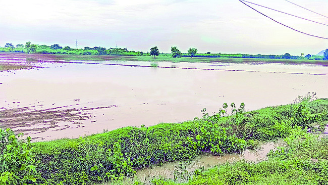 వరుణా.. ఎంత పనిచేశావ్! 1