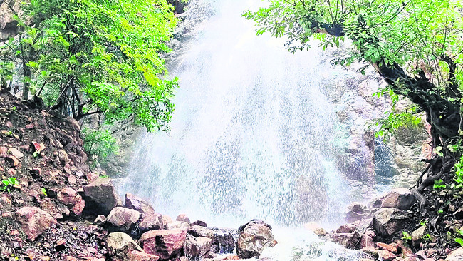 అలరిస్తున్న ‘వెన్నెల’1