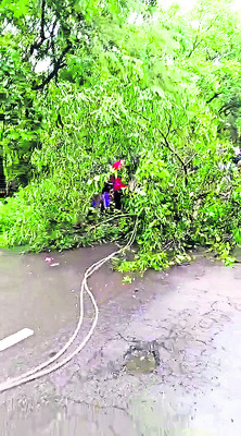 ఉప్పొంగిన వాగులు
4