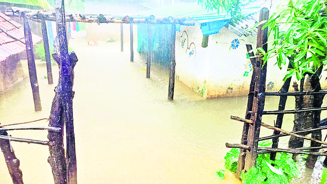 నీటమునిగిన పొలాలు.. ఇళ్లలోకి చేరిన నీరు1