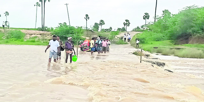 జడ్చర్లలో మూడు డెంగీ కేసులు నమోదు
1