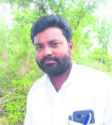 ముసురుతో పత్తి చేలకు జీవం2