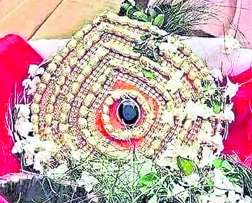 నేడు శ్రీక్షేత్రంలో చిత్తాలగ్గి సేవ 2