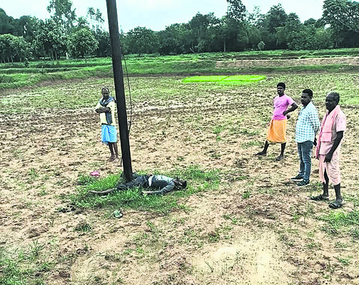 గురువారం శ్రీ 24 శ్రీ జూలై శ్రీ 20255