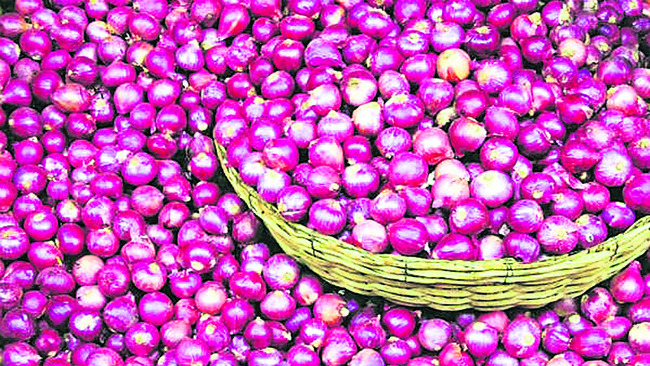ఉల్లి .. సాగు సన్నగిల్లి! 1