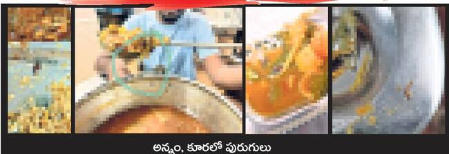 ఆకలి కేకలు1