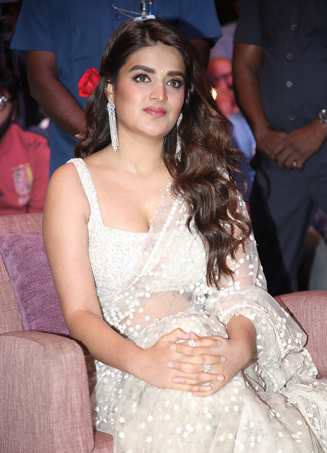 Hari Hara Veera Mallu Actress Nidhhi Agerwal Photos10