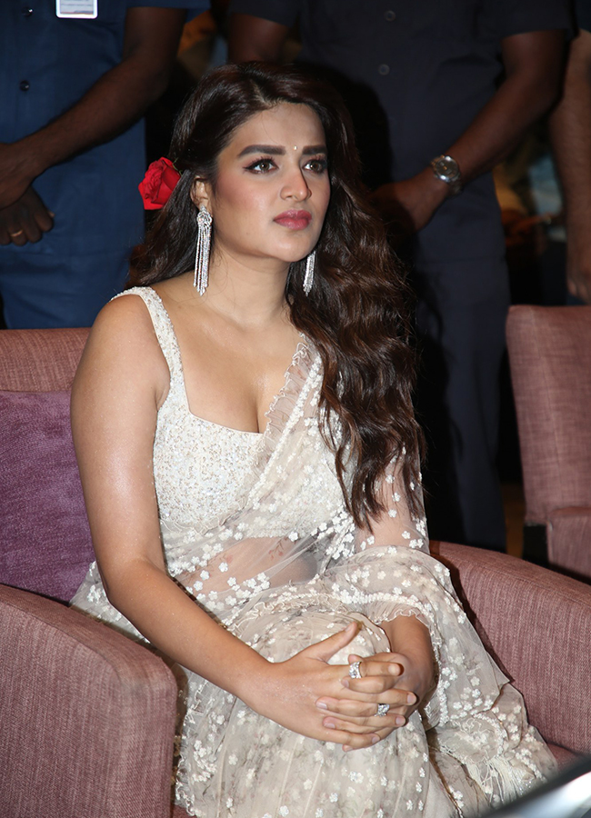 Hari Hara Veera Mallu Actress Nidhhi Agerwal Photos14