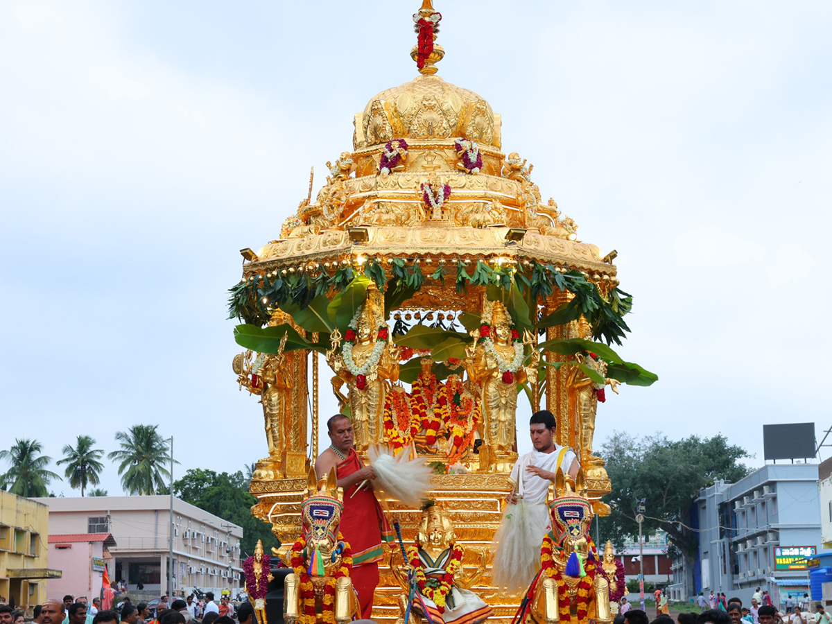 Swarna Rathotsavam Celebration Grandly Held In Srisailam 5