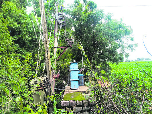 ప్రాణాలకు ప్రమాదం1