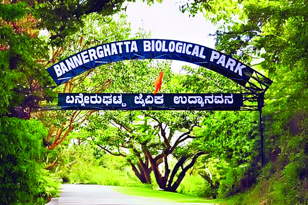 గజరాజుల జపాన్‌ యాత్ర 2